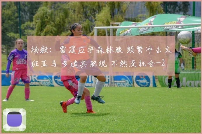 杨毅：雷霆应学森林狼 频繁冲击文班亚马 多造其犯规 不然没机会